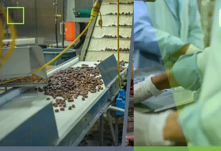 Production process relating to dusty powders