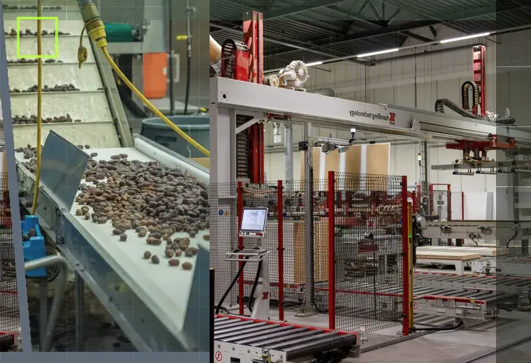 Production process relating to stoppers and bungs