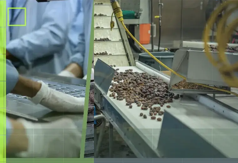 Production process relating to belt conveyors