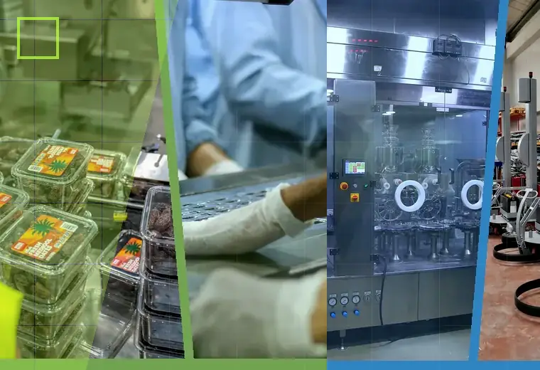 Production process relating to cases