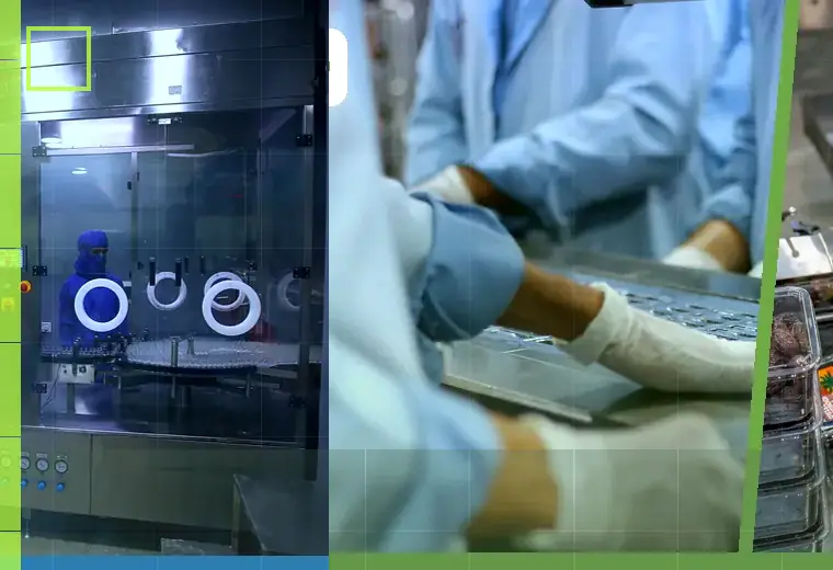 Production process relating to premade pouches