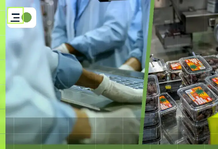 Automated industrial production line