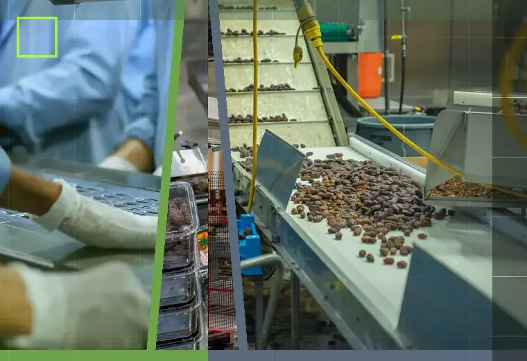 Production process relating to food production