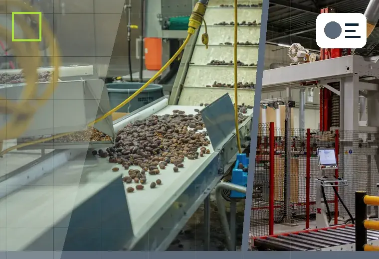 Production process relating to metal screw caps