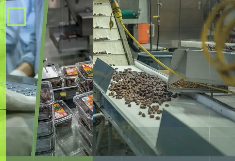 Production process relating to metal screw caps