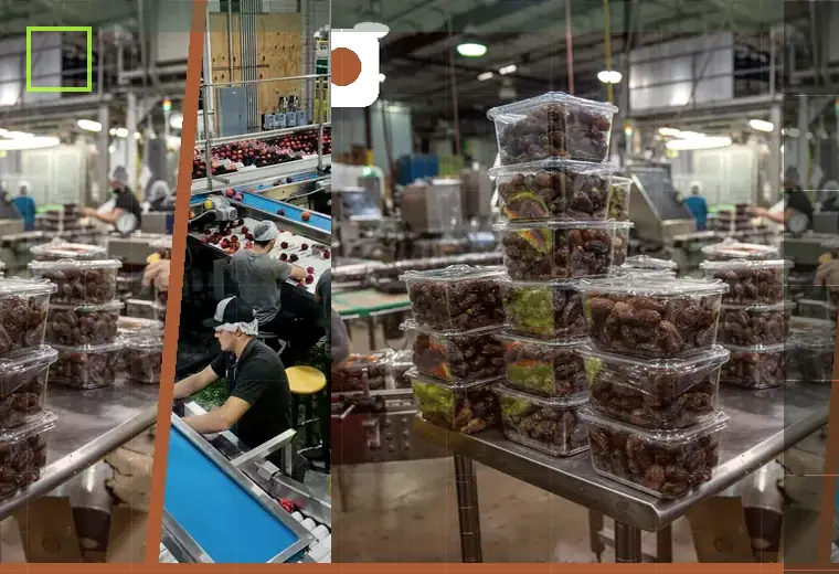 Production process relating to heat seals