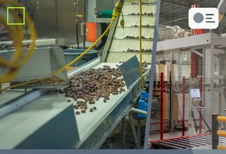 Conveyors, automation and lines production