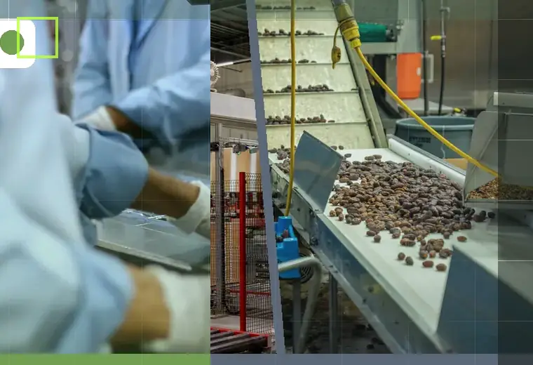 Production process relating to transfer plates