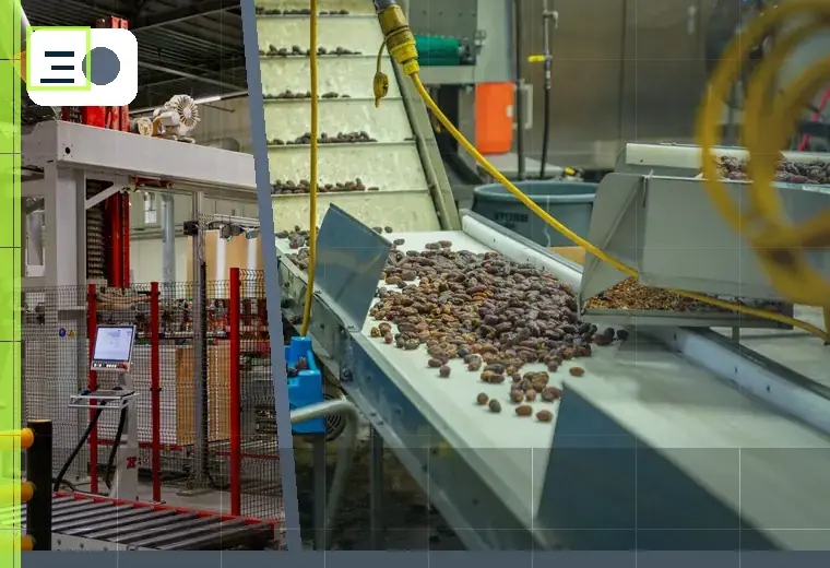 Production process relating to heat seals