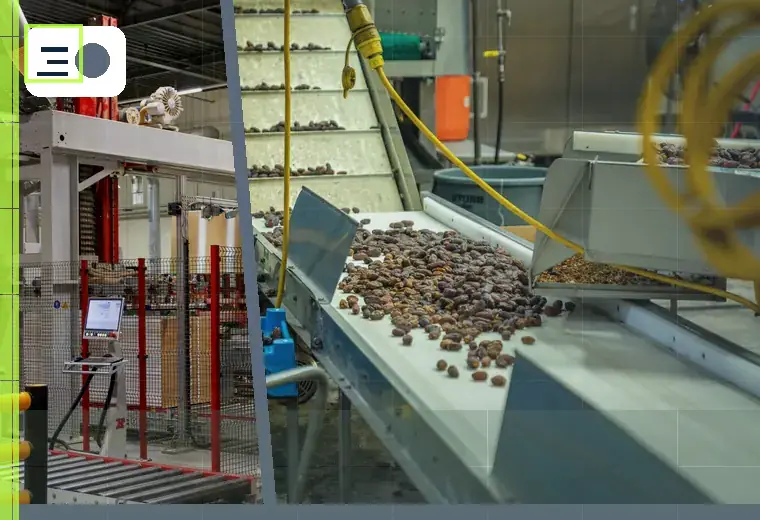 Production process relating to frozen pieces