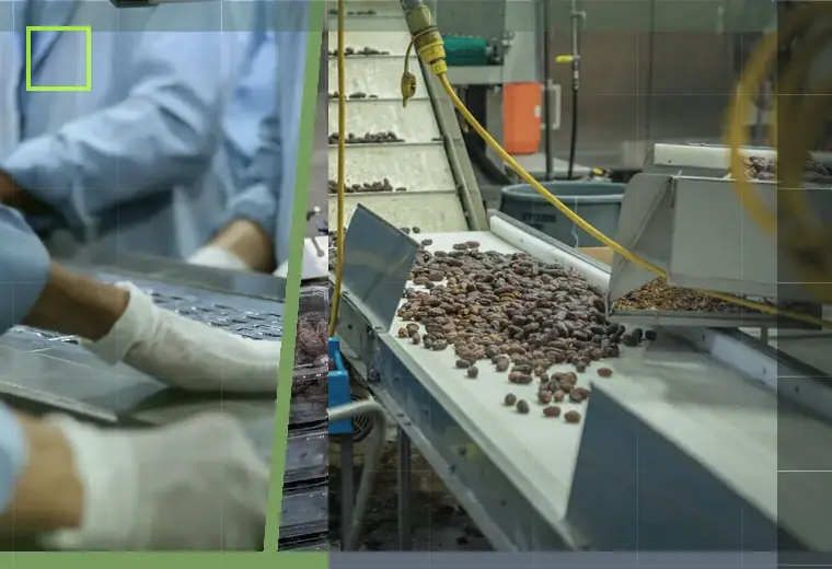 Production process relating to gusset bags
