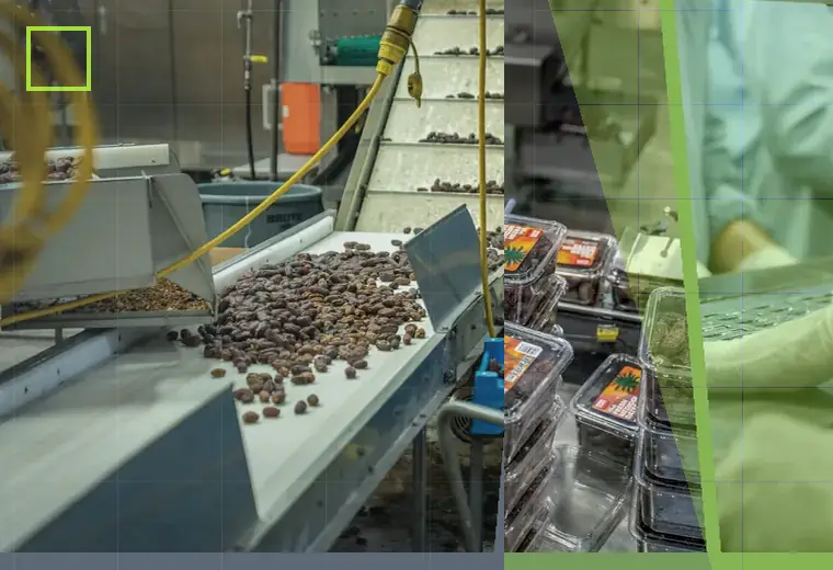 Production process relating to belt conveyors