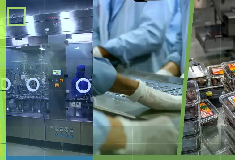 Production process relating to heat seals