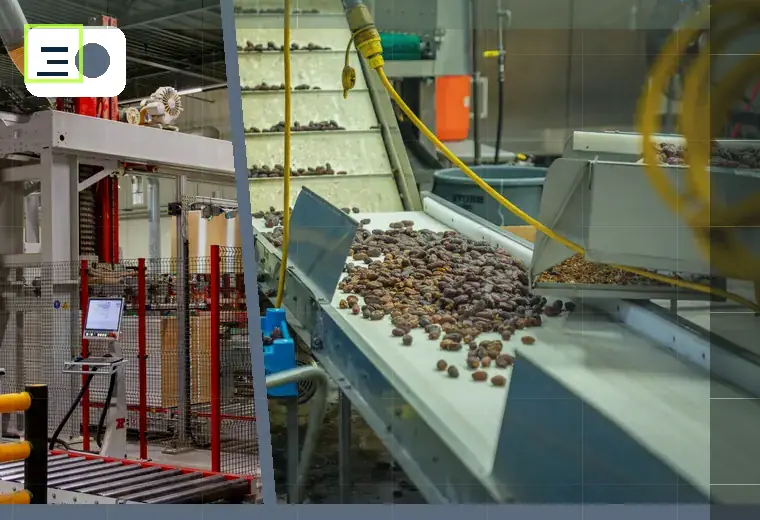Production process relating to coffee and tea