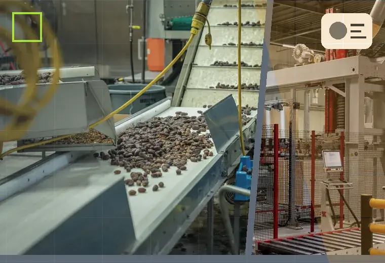 Production process relating to protein powders