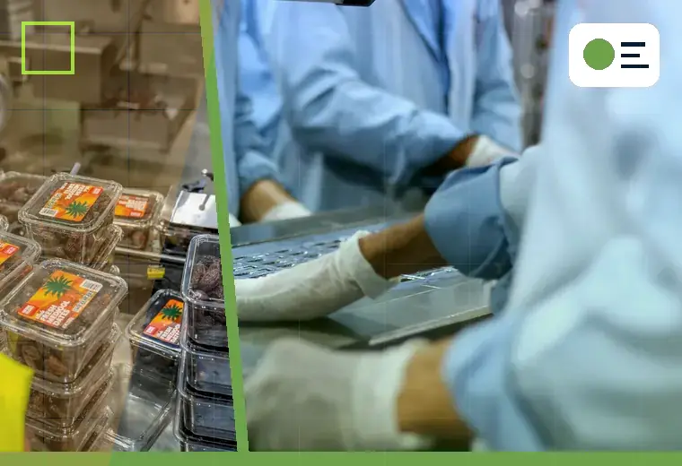 Preparation and feeding production