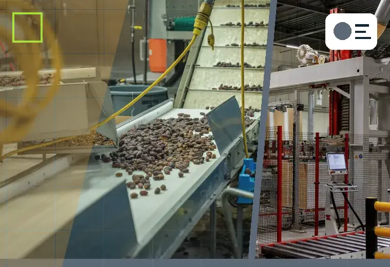 Production process relating to seeds and grains